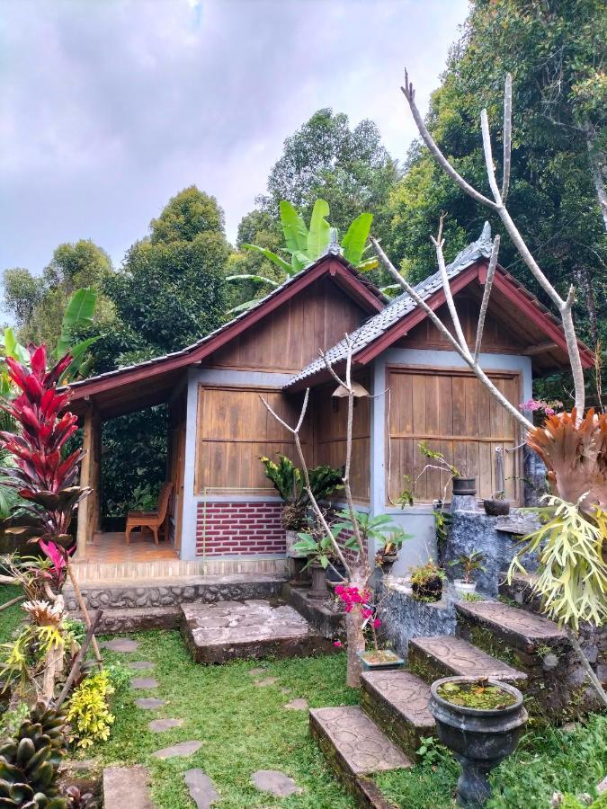 Friendly Homestay Lemukih Singaraja Εξωτερικό φωτογραφία